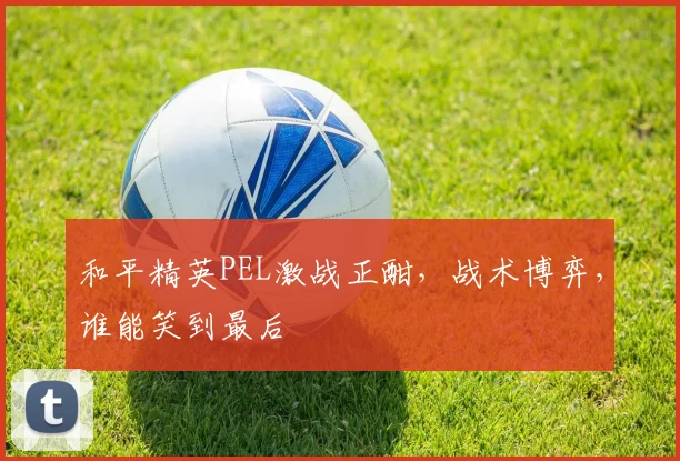 和平精英PEL激战正酣,战术博弈,谁能笑到最后